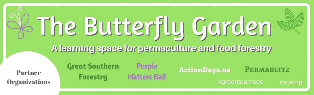 Butterfly Garden-banner